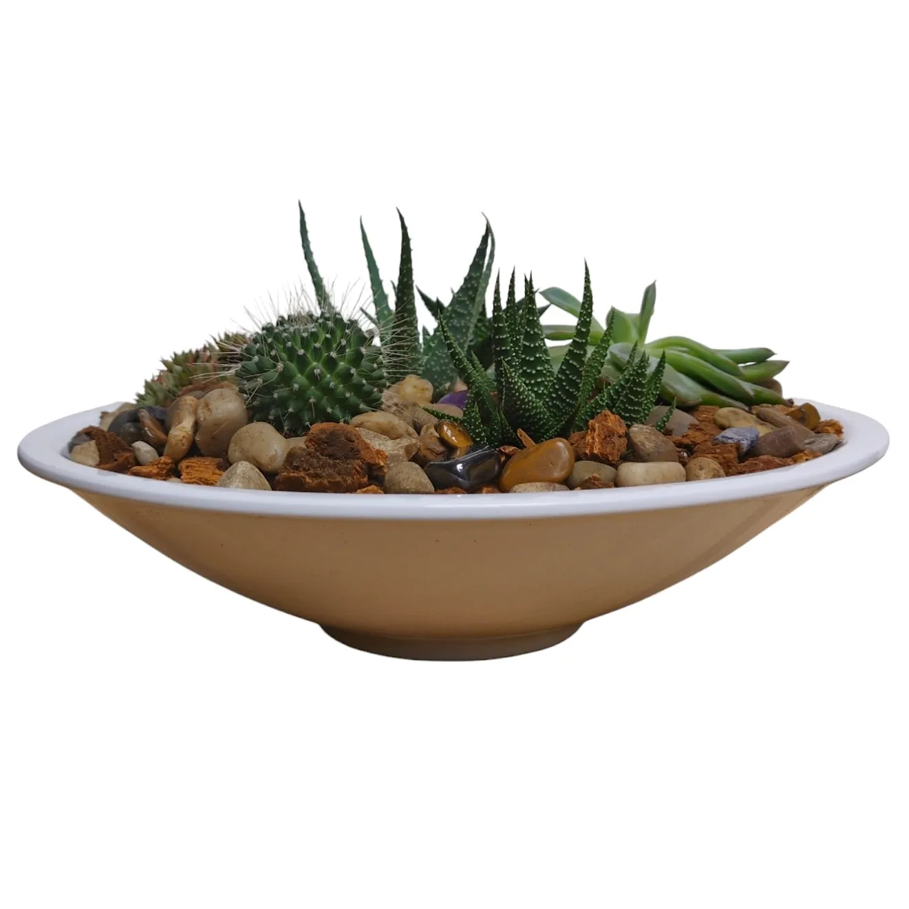 Excellence Dish Garden