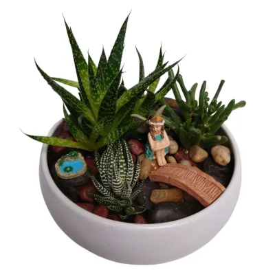 Justine Fairy  Dish Garden