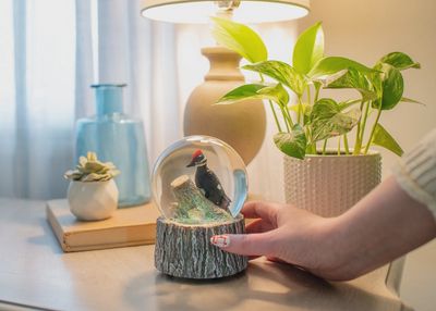 Pileated Woodpecker Musical Snow Globe