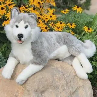 Laying Husky Stuffed Animal