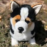 13&quot; Carlton Corgi  Plushie