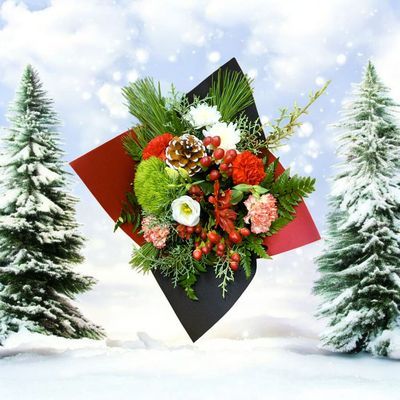 Sweet Berries Holiday Bouquet with red berries, evergreens, pine cones, lisianthus and carnations wrapped in festive paper
