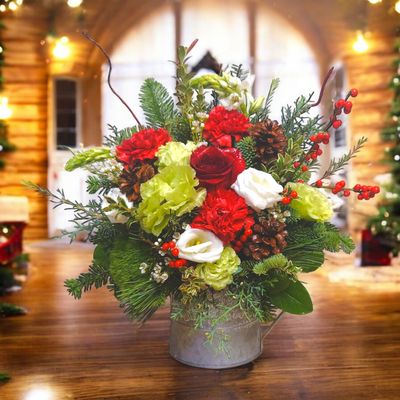 Christmas Plantation