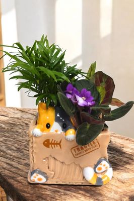 The Cat Planter