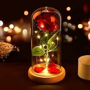 Stained Glass, Lamps and Rose Globe