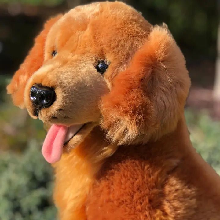 Stuffed Animals