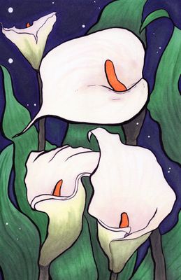 Calla Lily Greeting Card