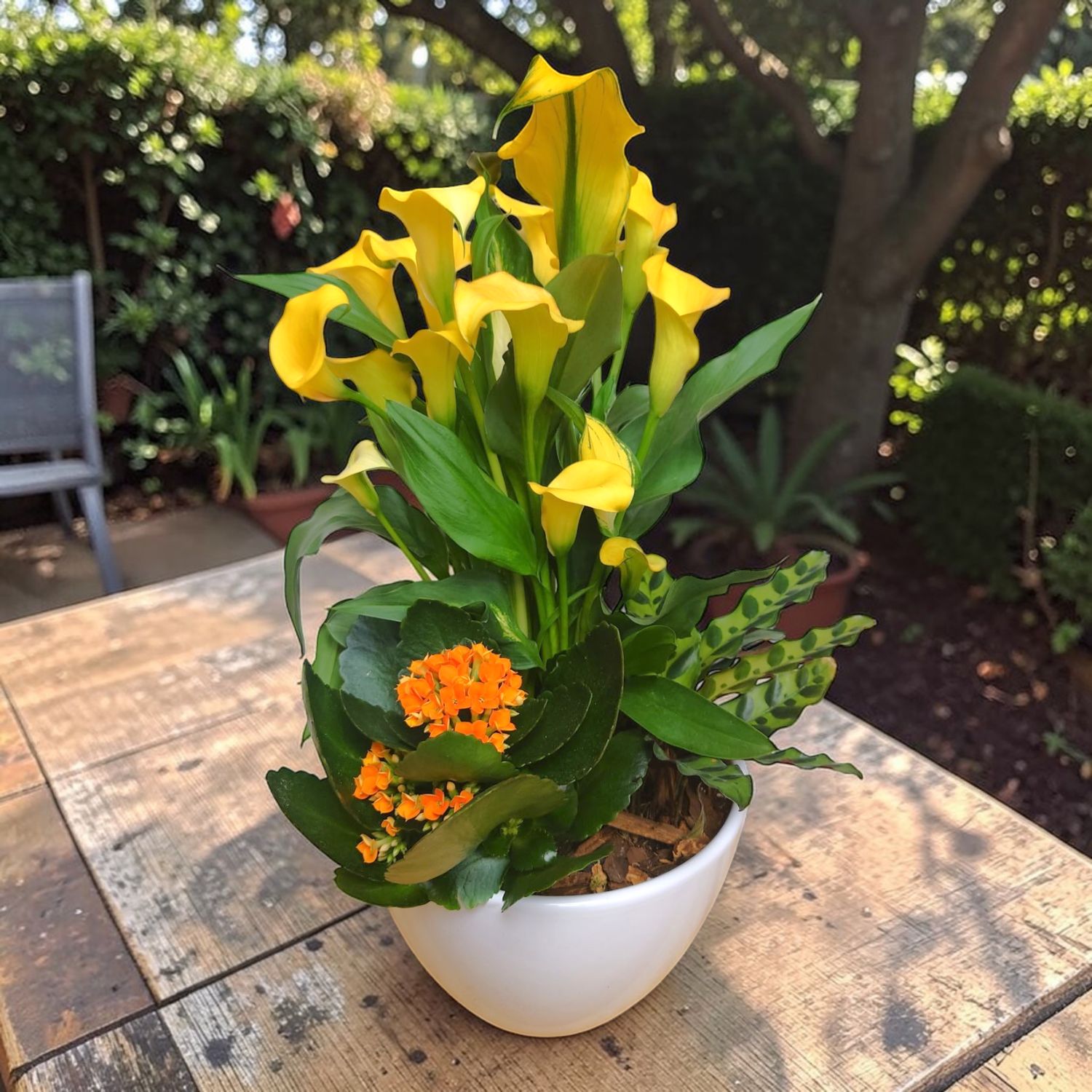 Compassionate Planter, Size: Standard