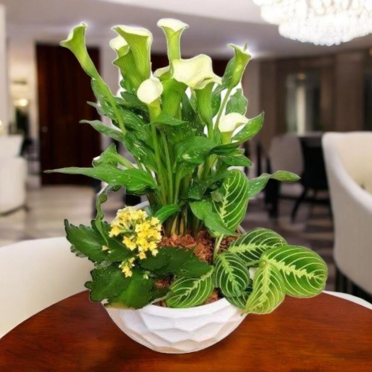 Compassionate Planter