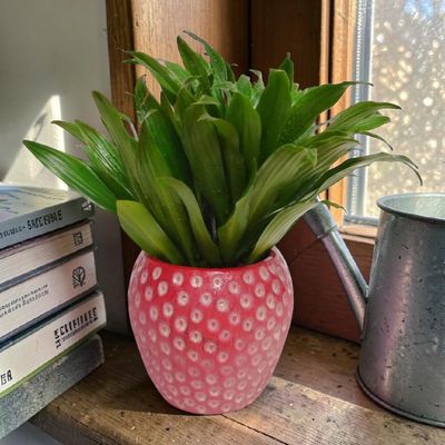 Strawberry Field Planter