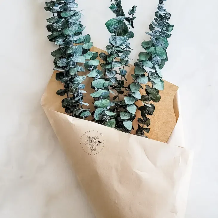 Dried Eucalyptus Bundle, style: Eucalyptus Bouquet