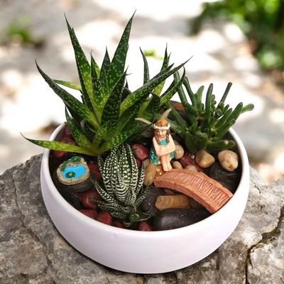 Justine Fairy  Dish Garden