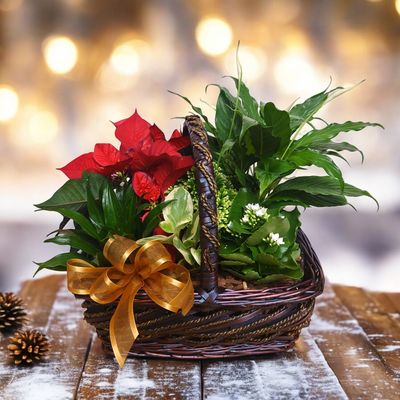 Joyful Christmas Basket Planter