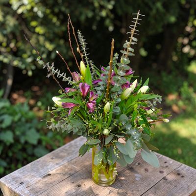 White Tulips Exquisite