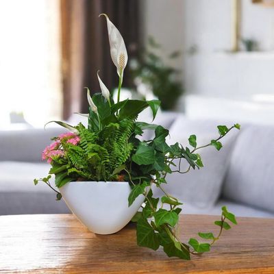 Symphony Planter