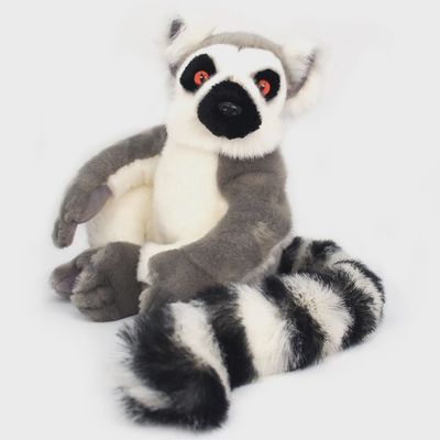 Ringo the Ring-Tailed Lemur