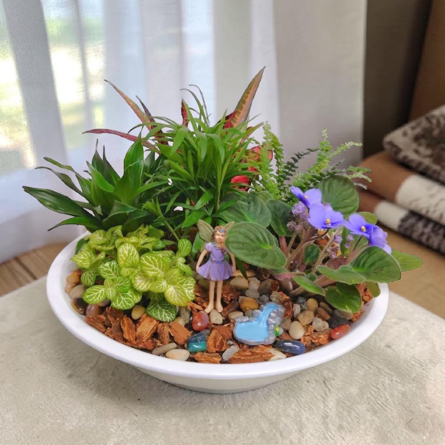 Annabella  Fairy  Garden