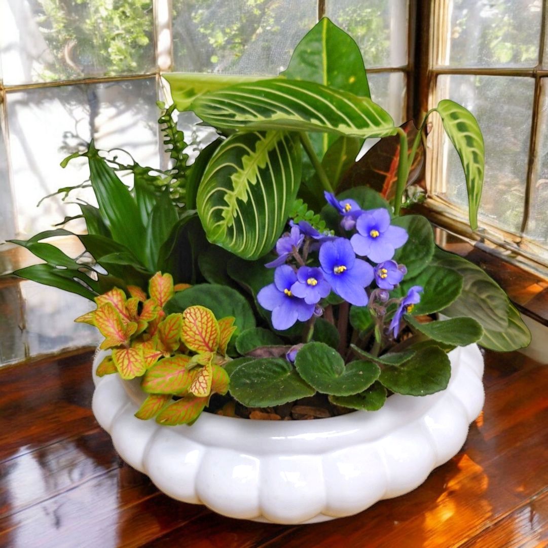 Victorian Dish Garden