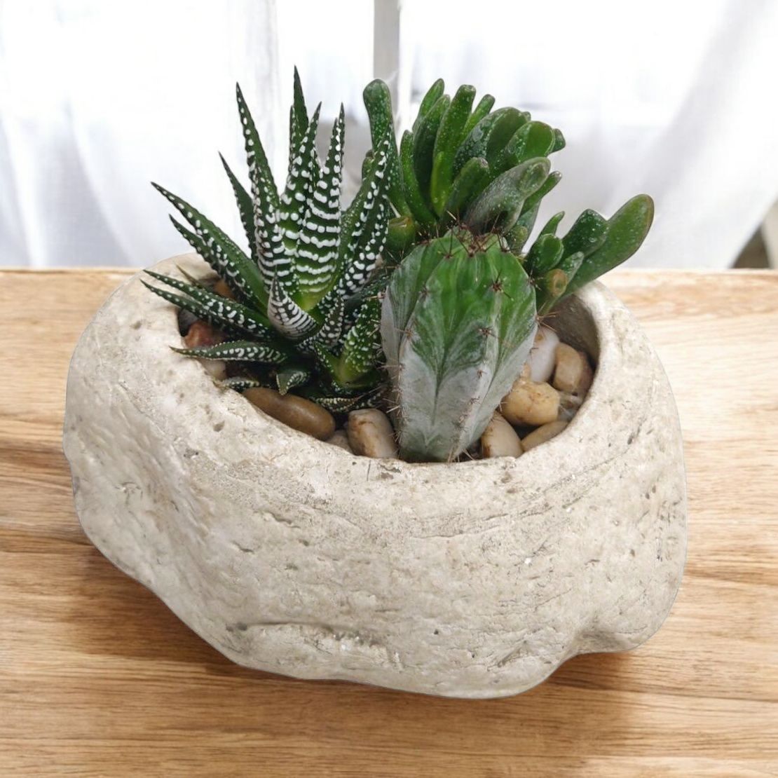 Succulent Stone