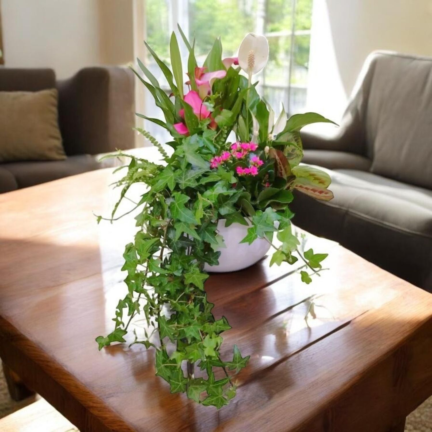 Sensational Calla Ivy Planter