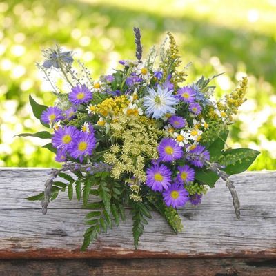 Wild Flower of the Season