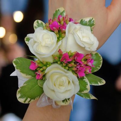 Kalanchoe Corsage