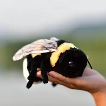 Bumble Bee Stuffed Animal