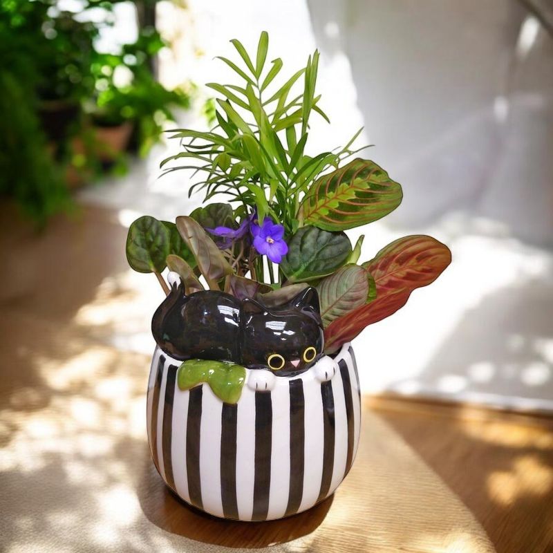 The Cat Planter