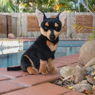 Peluche Chihuahua Taco de 10 po