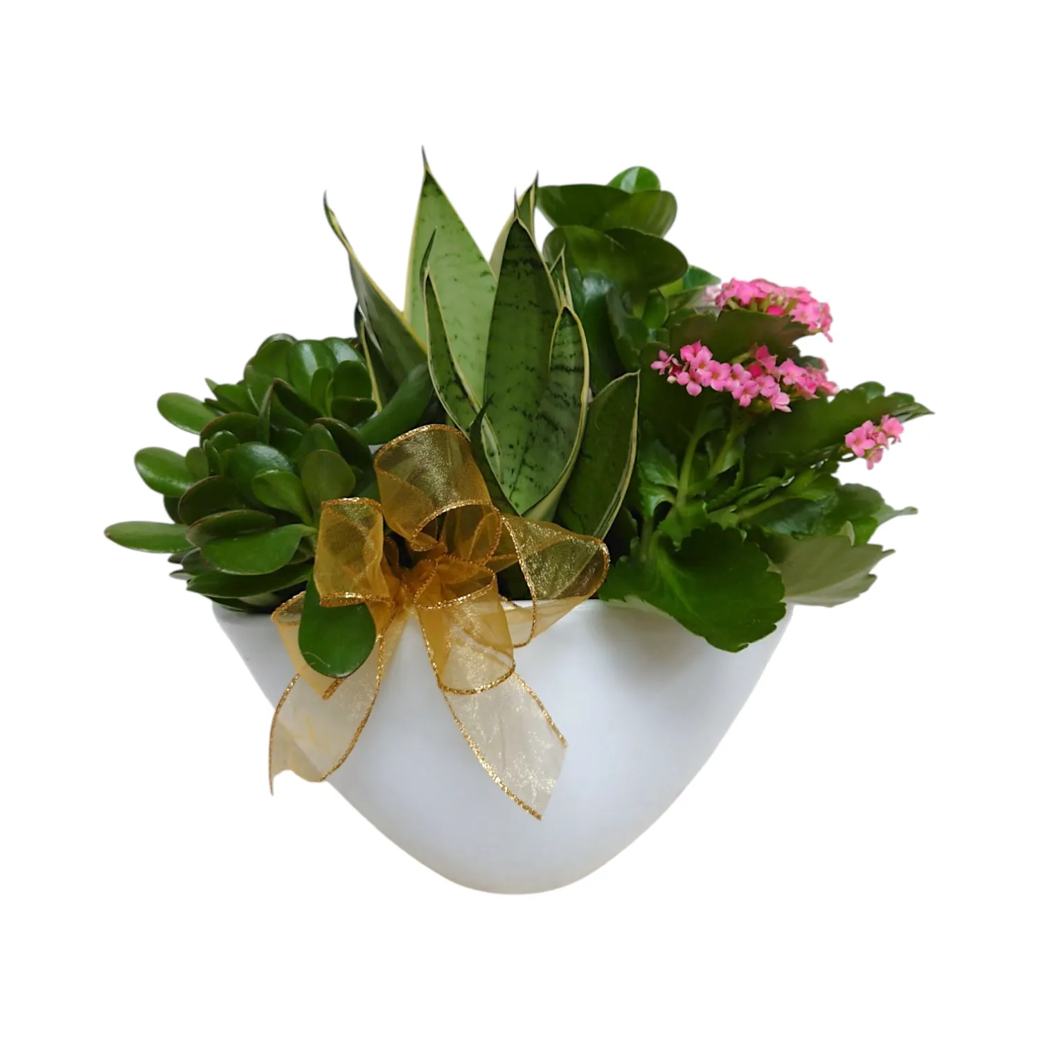 The Caspian Planter