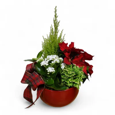 Warm Wishes
