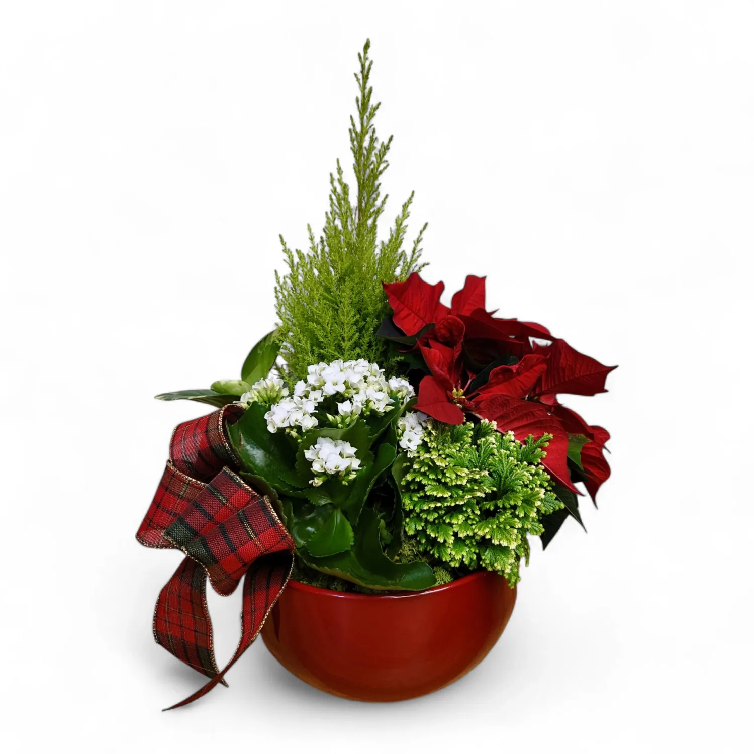 Warm Wishes
