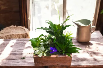 Woodland Indoor Planter