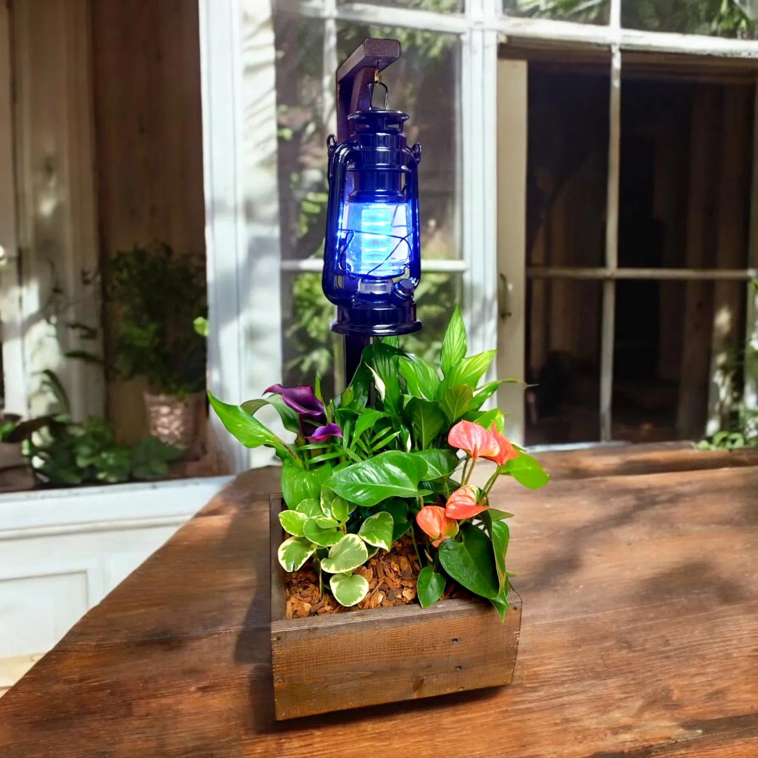 Glowing Reminiscences