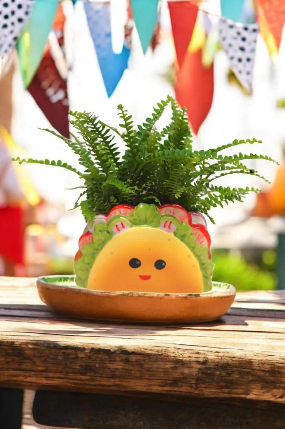 Tacos Planter