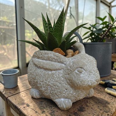 Beautiful Cement Bunny Planter