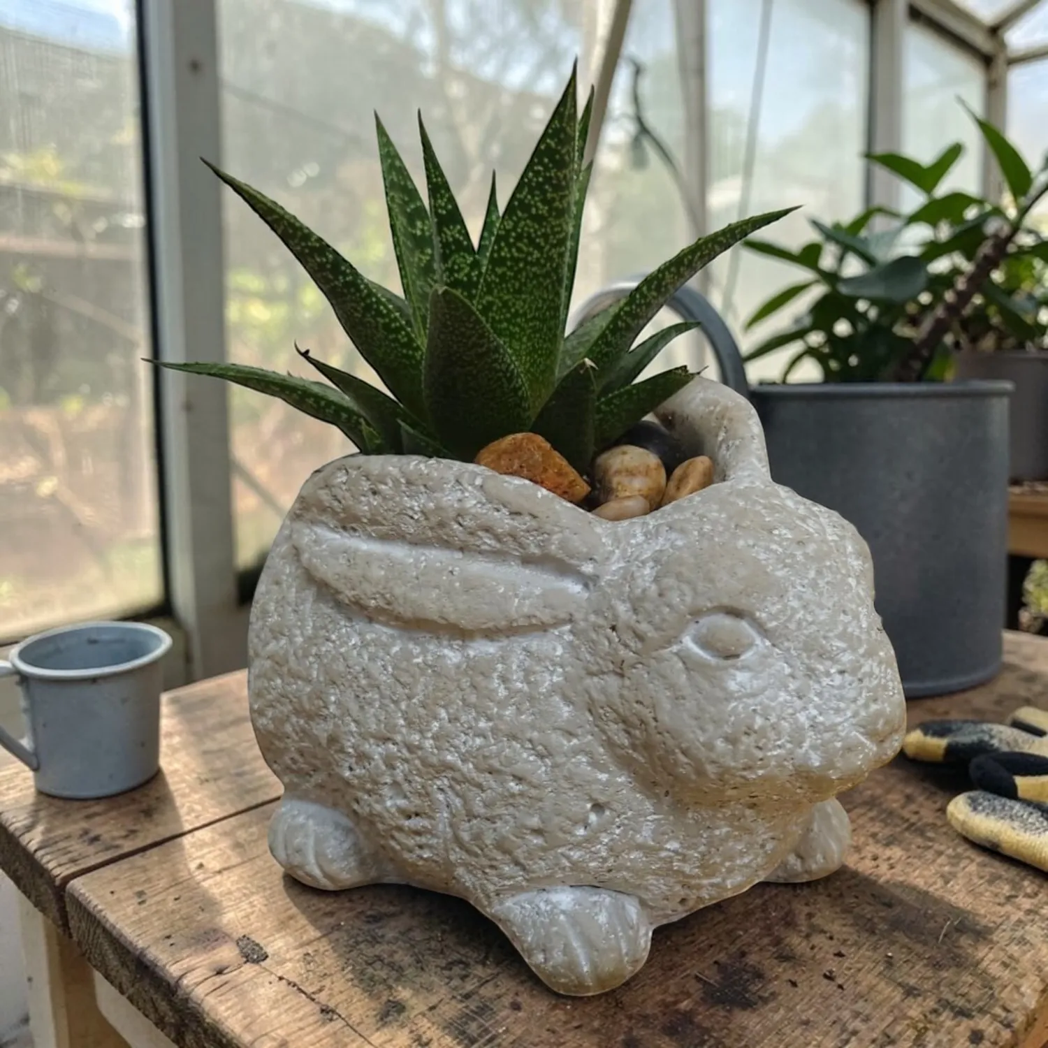 Beautiful Cement Bunny Planter