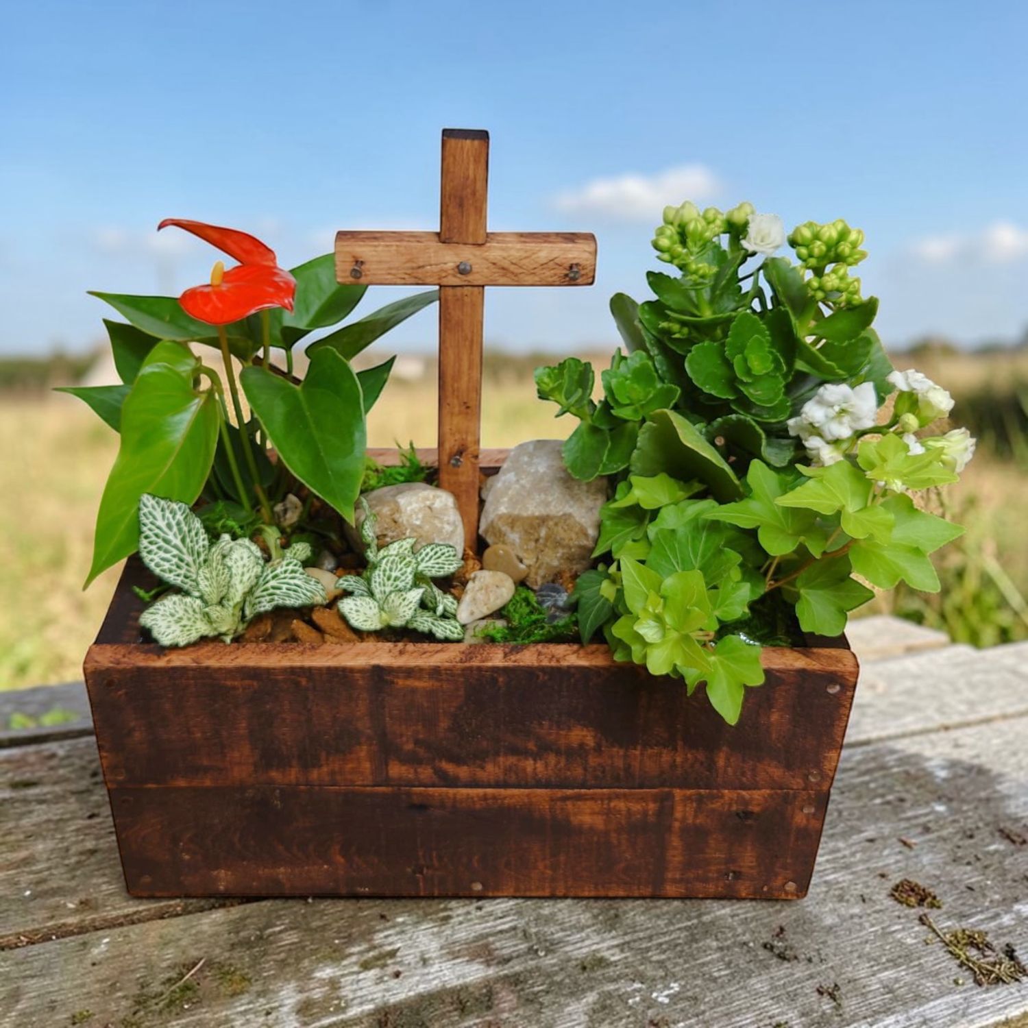 New Life  Woodbox Planter