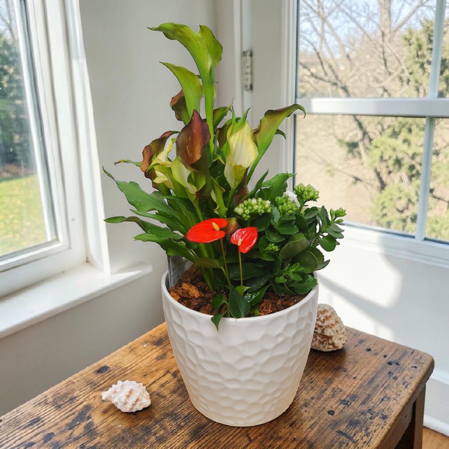 Taliflower Ceramic Planter