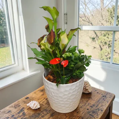 Taliflower Ceramic Planter