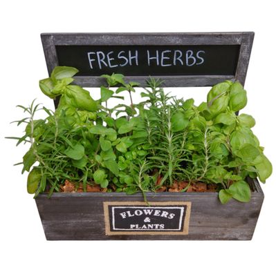 Fresh Cooking Herbs Wood box