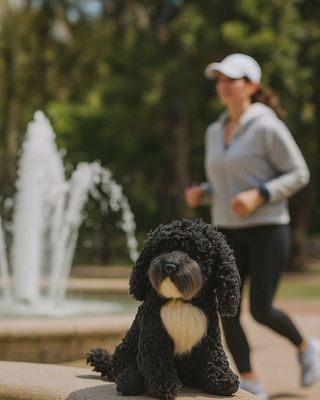 Bonnie the Oodle Stuffed Animal