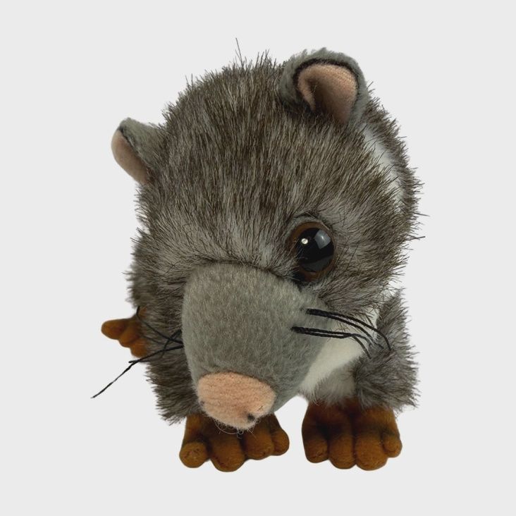 Cody the Ringtail Possum Stuffed Animal