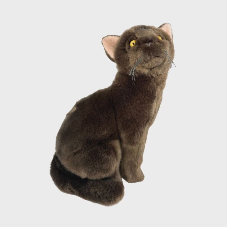 Nutmeg the Burmese Cat Stuffed Animal