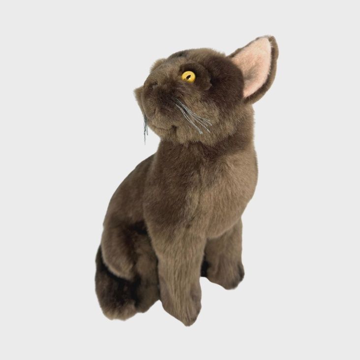 Nutmeg the Burmese Cat Stuffed Animal