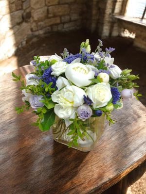 Lavish Peonies