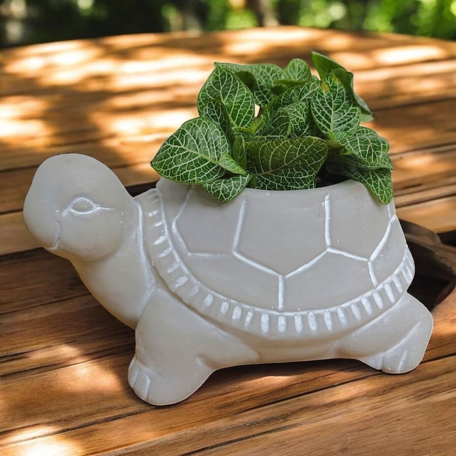 Turtle Planter