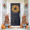 20" Fall Daisy Wreath