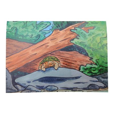 Turtle in the Woods Greeting Card
