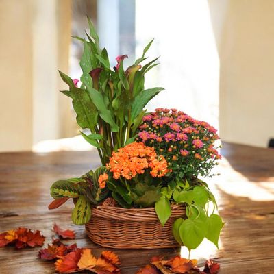 Autumn Blessings